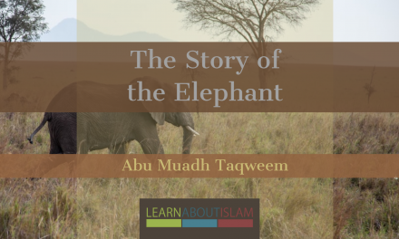 The Story of the Elephant [Tafsir of Surah Al-Fil] | Abu Muadh Taqweem Aslam