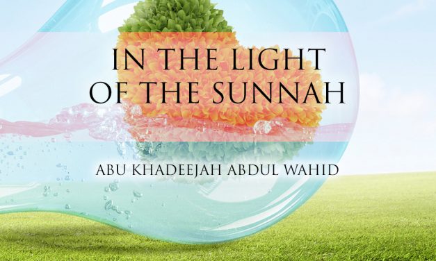 In the Light of the Sunnah – Part 2 | Abu Khadeejah | Bolton