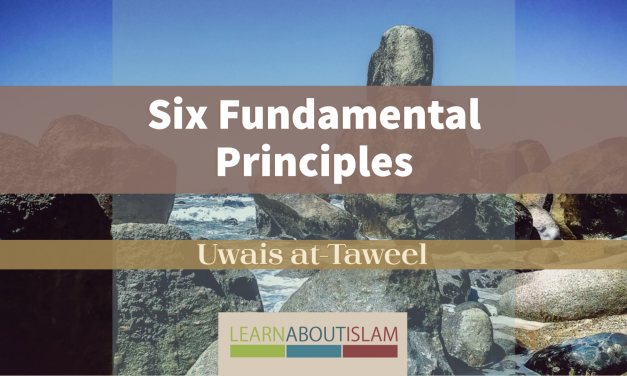 The Six Fundamental Principles – Uwais at-Taweel | Nigeria