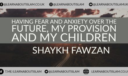 What to do if you are worried about your Children Future and Provision – Shaykh Fawzaan