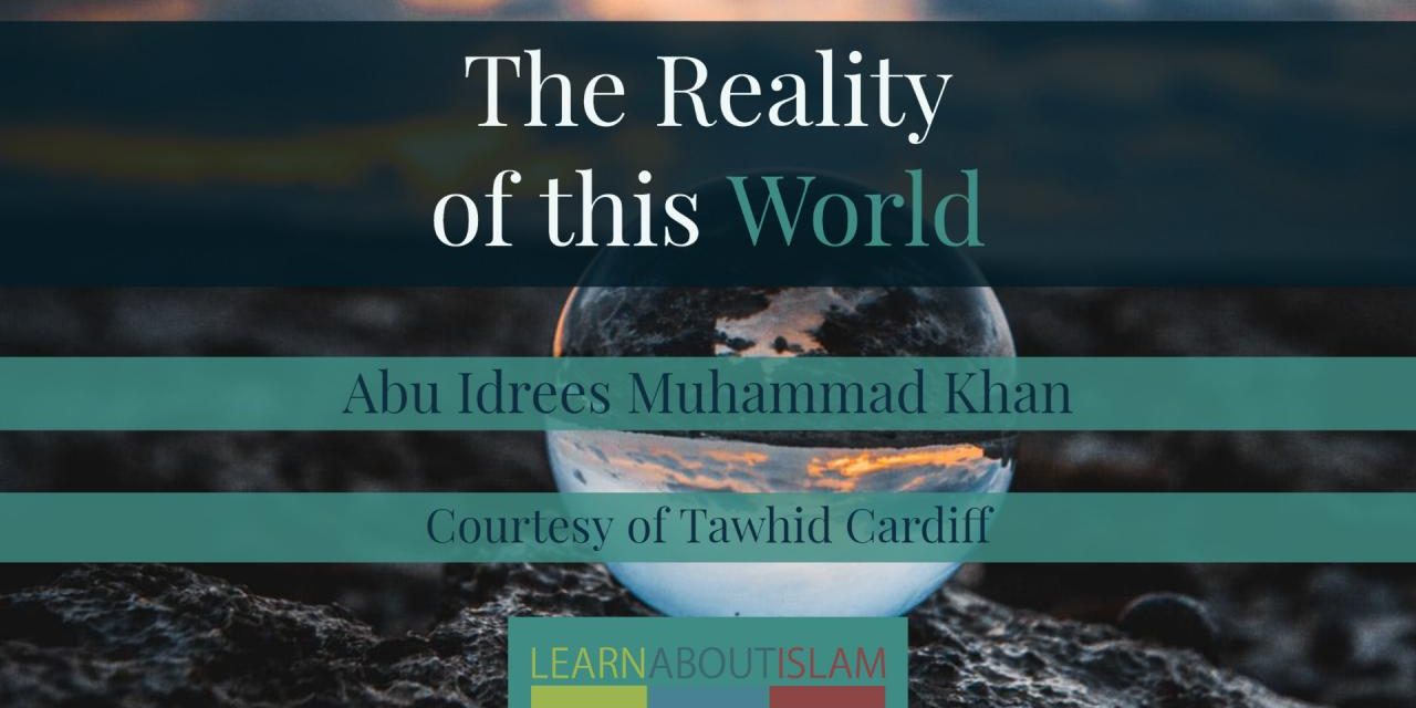 The Reality of This World | Abu Idrees